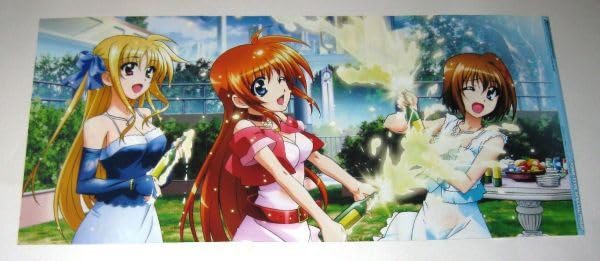 魔法戦記リリカルなのはForce 折りたたみピンナップアニメポスター 65 Amazon.co.jp: ピンナップ/魔法少女リリカルなのはStrikerS&魔法戦記