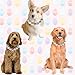 Adjustable Pet Collar For Small Medium And Large Dogs Beaded Silicone Dog Necklace Handmade Girl Bling Fancy Female Cats Pretty Pearls Perla Cute Rinbow Heavy Duty (Easter)