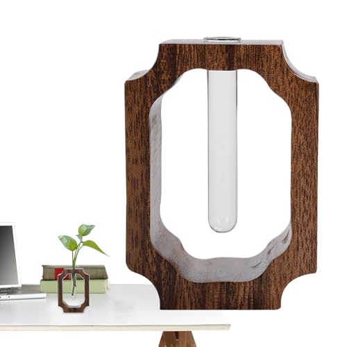 Vase hydroponique en verre avec support bois pour salon - 2