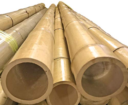 bambus-discount.com Tokyo Tube de bambou laqué 8-10 cm x 200 cm