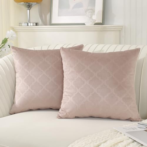 Ystyle Kissenbezüge 50x50 Samt 2er Set Kissenhülle Dekorative Zierkissen Sofakissen Couchkissen Dekokissen Kissenbezug Deko Kissenhülle Sofakissenbezüge für Sofa Wohnzimmer Balkon, Rosa Grau