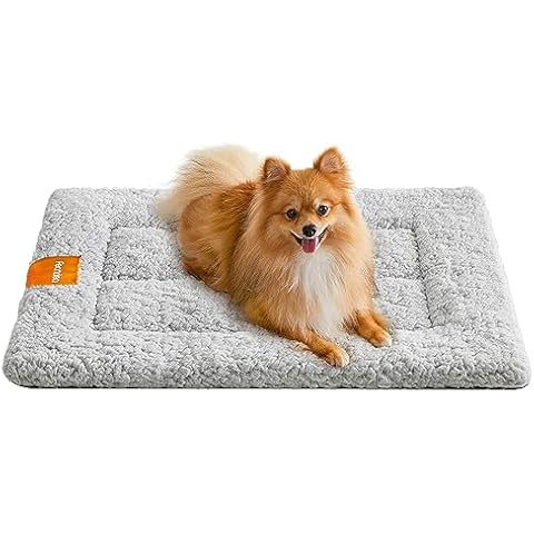 Tapis Chien Feandrea PPB001G01 Cover