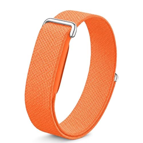 Image of Nylon Strap (Titanium Buckle) Compatible with Google Fitbit Air