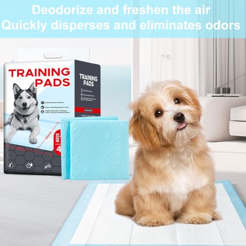 Protections pour déjections canines jetables pour des nuits calmes