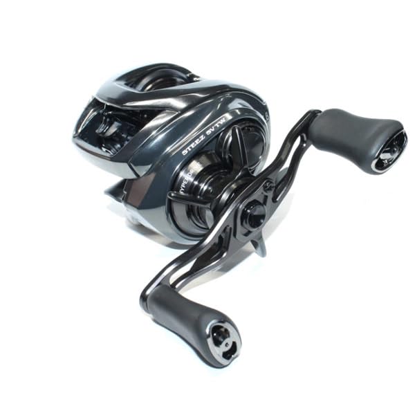 Daiwa SV TW 100HL Bath Bait Reel 24STEEZ (2024 Model) : Amazon.ca
