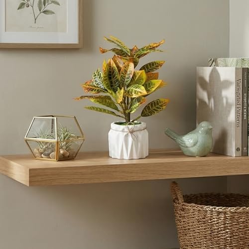 Image of Dekorly Artificial Lavender Plant in White Pot, 18cm - Realistic Faux Flower Arrangement for Home & Office Decor (Set of 1) (1, Croton Plant)