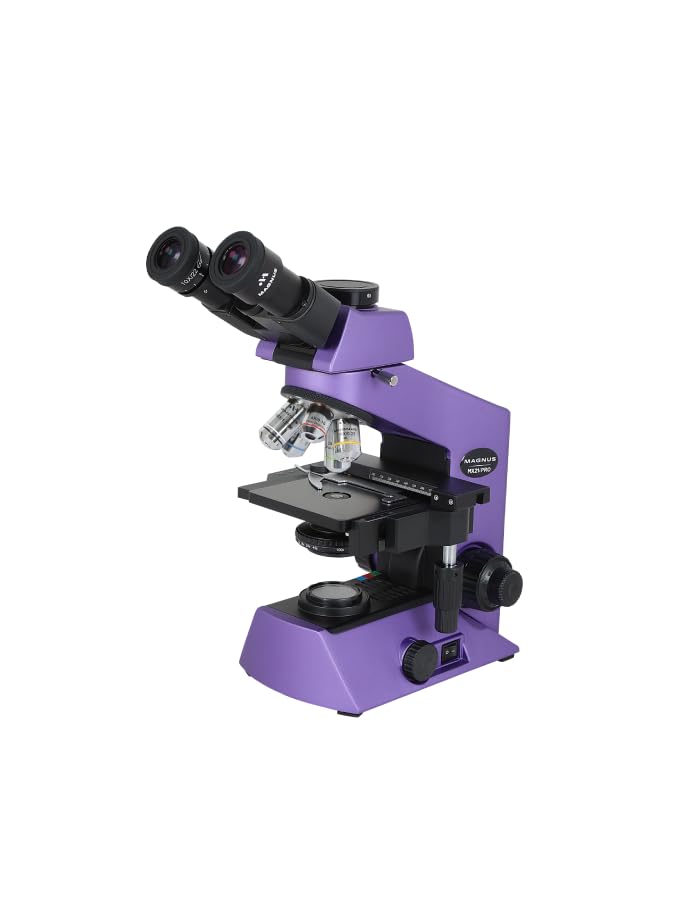 MAGNUS MagLab MLC024 Moon フィジェットトイ MagLab - Fidget Sliders – Magnus Store