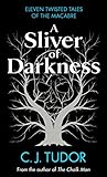 A Sliver of Darkness