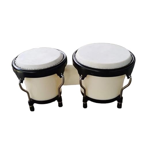 Ghbunuz 4C` 5C` {ShZbg y ƌ̉yߋ qj̎q̎q 4+5 (zCg)