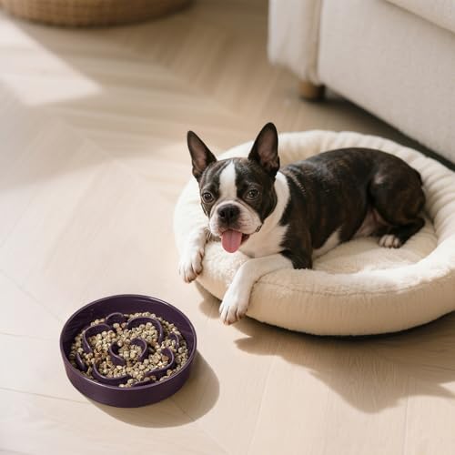 Anti-Schling-Futternapf Hund Keramik - Labyrinth Fressnapf für Trockenfutter & Nassfutter - Langsames Fressen für Kleine Hunde - 80 g - 16 cm - Lila