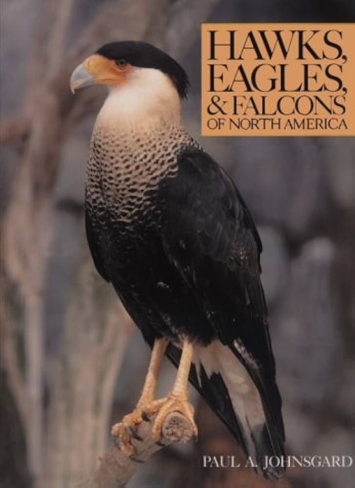 洋書 Eagles Hawks and Falcons of the World Eagles, Hawks and Falcons of the World. by Brown, L. & Amadon, D
