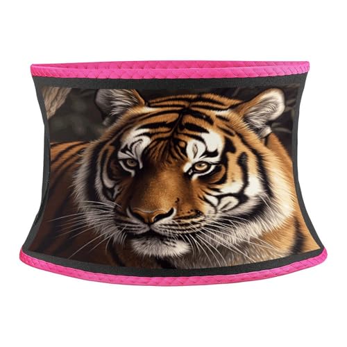 Faja Reductora Estampado Tigre Bengalí para Cintura miniatura 1