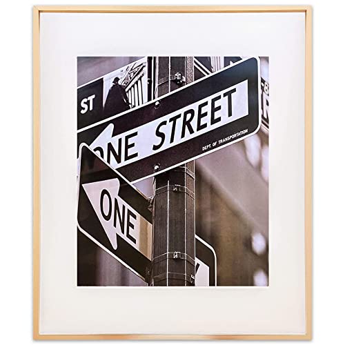 TheDisplayGuys - Contemporary Aluminum Picture Frame - Tempered Glass - 16x20 matted to 11x14 - Gold - Wall Hanging