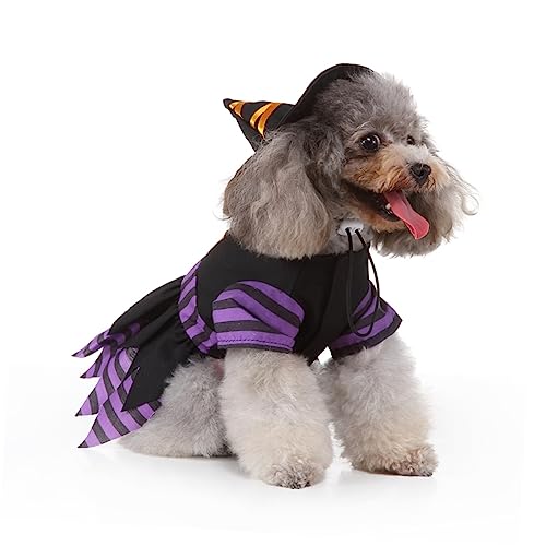 Disfraz creativo de bruja para perros Halloween TEHAUX