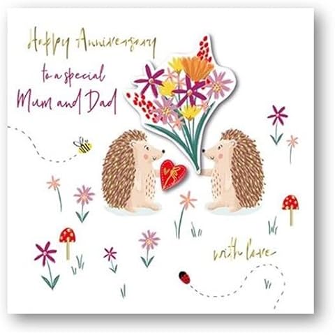 Mum & Dad Hedgehogs Anniversary Card Cover