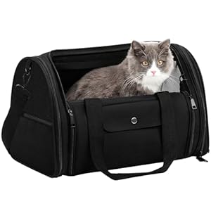Pecute Airline Approved Cat Carrier Dog Carrier for Pets 16.7×11.2×11 Inches Up to 13 Lbs, Pet Travel Carrier Bag for Small Cats and Dogs, Soft Dog Carrier, Dog Cat Carrier with Pet Safety Belt
