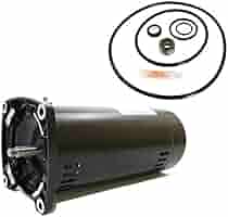 Puri Tech Replacement Motor Kit for Sta-Rite Dura-Glas 1.5HP