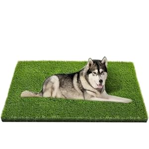 Artificial Grass, Professional Dog Grass Mat, Potty Training Rug and Replacement Turf Outdoor Rug Patio Lawn Decoration, Easy to Clean with Drainage Holes(47.3×31.5 inches)