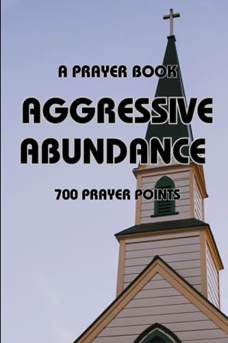 AGGRESSIVE ABUNDANCE: A PRAYER BOOK OF 700 CATEGORIZED PRAYER POINTS