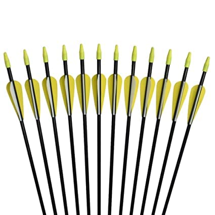 Futaba 30 inch Archery Arrows for Recurve Bow Fiberglass Target Practice (6 pcs)