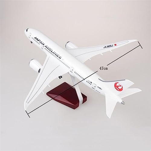 Avión B787 de 47cm para decorar salones de entusiastas de la aviación 7