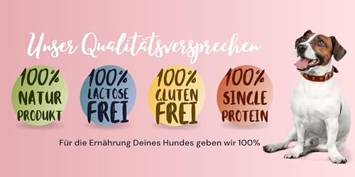 PAULI's Nassfutter für Hunde Ziege mit Pastinake | Single Protein (nur eine tierische Proteinquelle) | Naturprodukt | Glutenfrei | hohe Verträglichkeit | 6x400g