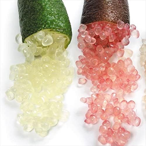 フィンガーライム 苗 苗木 緑 赤 2種2株 フィンガーライムの木 柑橘 カンキツ 果樹苗 国華園 22年秋商品 世界の人気ブランド フィンガーライム 苗 苗木 緑 赤 2種2株 フィンガーライムの木 柑橘 カンキツ 果樹苗 国華園 22年秋商品 世界の人気ブランド