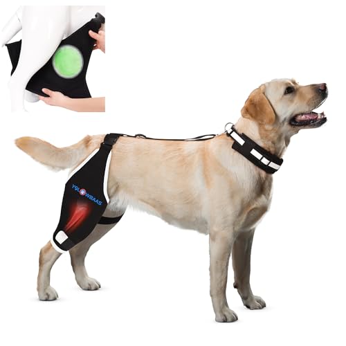 yolowbaas Dog Knee Brace with Hot/Cold Compress