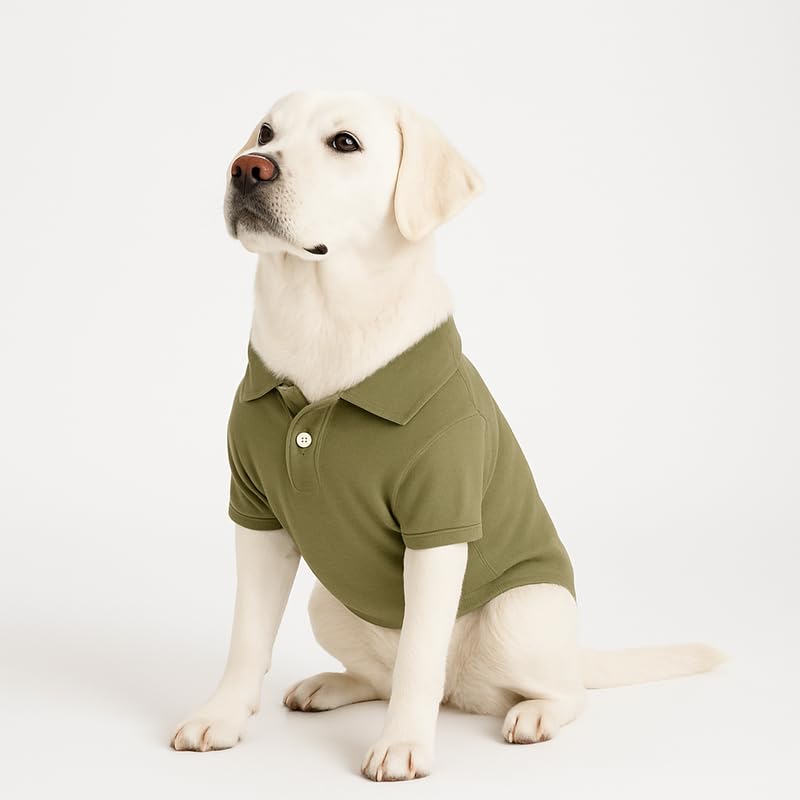 Image of Thunder Tails Premium Cotton Polo Dog T-Shirt | for Small Dogs & Puppies |Olive| Large | for Pugs, Lhasa Apso, Poodle, Dachshund & Pomerian