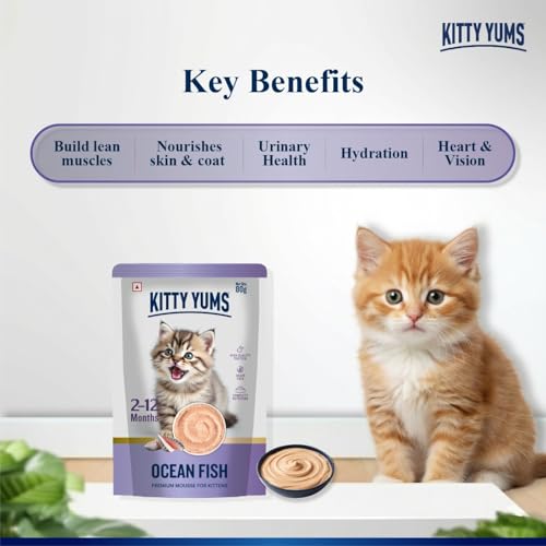 Image of Kitty Yums Kitten Wet Mousse 80g | Ocean Fish | Rich in Protein | Promotes Hydration & Easy to Digest | Grain Free | No Artificial Flavours |Packed with Essential Vitamins & Antioxidants