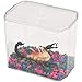 Pioneer Plastics JBC Clear Plastic Desktop Aquarium, 5.75