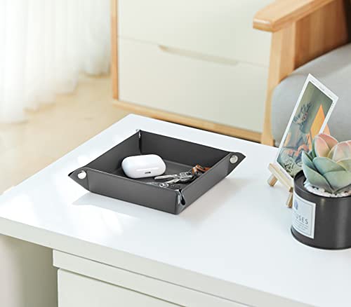 Luxspire Vassoio Portaoggetti 2 Pezzi, Vassoi