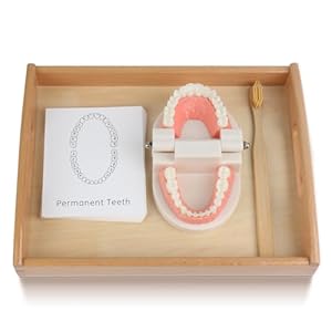 MEROCO Montessori Practical Life Br...