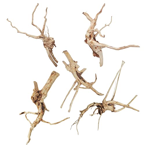 kathson Aquarium Driftwood Reptile Branches Wood Natural Spiderwood Driftwood for Aquarium 7-8 5 Pcs Terrarium Ornament Trunk Fish Tank Log Habitat Decoration Tree Stump Decor Assorted Sizes Wood