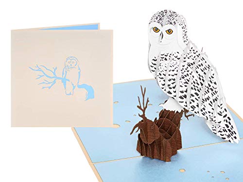 Image of Rykamia Pop Up Owl Card - Blank Envelope, Blank Note, Mother's Day, Thank You