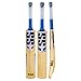 SS T20 ZAP English Willow Cricket Bat (Free Extra SS Grip included), 2019 Edition