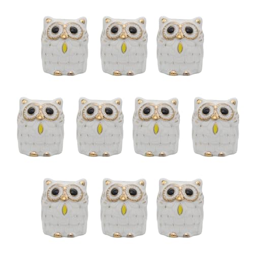 LbXG^[vCY  tNE()S5.5 u×10ZbguJm炸v[bpł͊w̐_l Ɩp