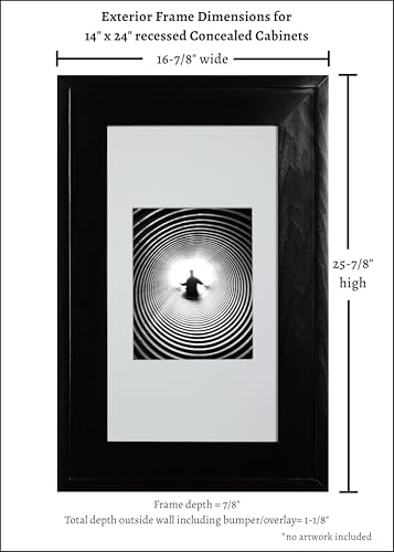 Image of 14x24 Concealed Picture Frame Medicine Cabinet Without Mirror for Bathroom, Recessed in The Wall, Made in North America, Real Wood, NO MDF, Adjustable Shelves, Hidden, Black