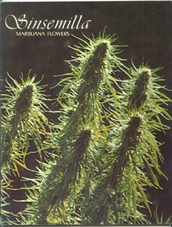 Paperback Sinsemilla: Marijuana Flowers Book