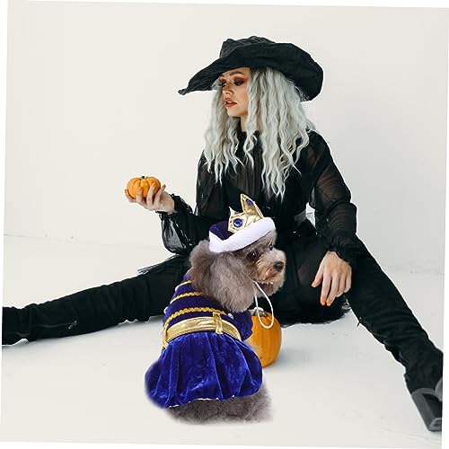 Disfraz Halloween para perro con sombrero Toddmomy miniatura 7