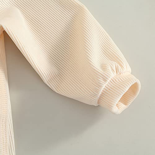 Amiblvowa Toddler Baby Girl Boy Pullover Hoodies Solid Color Oversized Rib Knit Hooded Sweatshirts Fall Winter Tops (Beige Hoodie, 2-3T) #TOP3