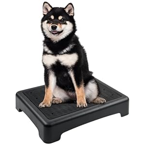 Dog Training Place Board with Non-Skid Surface, Dog Platform for Training, Portable Dog Agility Platform,Dog Training Stand, Dog Training Equipment Suitable for Small, Medium Dogs (Not for large Dog) Dog Training Place Board with Non Skid Surface Dog Platform for Training Portable Dog Agility PlatformDog Training Stand Dog Training Equipment Suitable for Small Medium Dogs Not for large Dog