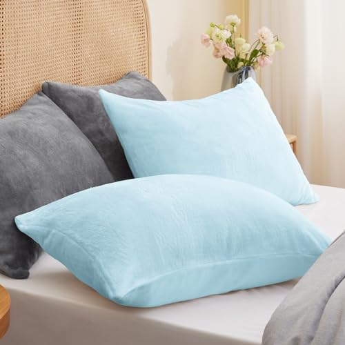 Image of BEDELITE Flannel Pillow Cases Queen Size Set of 2, Blue, 20x30 Inches