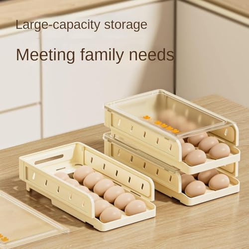 Soporte para huevos con rollo automático ideal para autocaravanas y hogar 8
