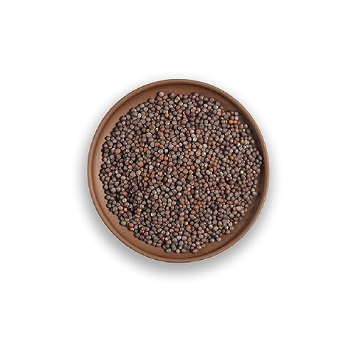 Image of Organic Tattva, Organic Black Mustard 100 Gram | Kali Sarso | Pesticide and Chemical Free | With Natural Oils | Rich Aroma | Naturally Gluten Free