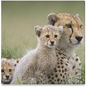 Amazon かわいいチーターカブスand Momオイル絵画額入りキャンバス印刷ウォールアート壁とホームの装飾 16 X 16インチ アートフレーム ポスター オンライン通販