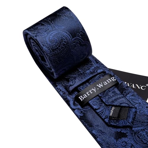 Image of Barry.Wang Paisley Tie for Men Silk Woven Necktie and Tie Clip Set Wedding Party Business Formal