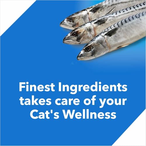 Image of Drools Adult 7kg Dry Cat Food with 5kg Cat Litter Free | Ocean Fish Flavour | Taurine for Cardiac Support | Nourished Skin & Shiny Fur | Urinary pH Balance | Hairball Control