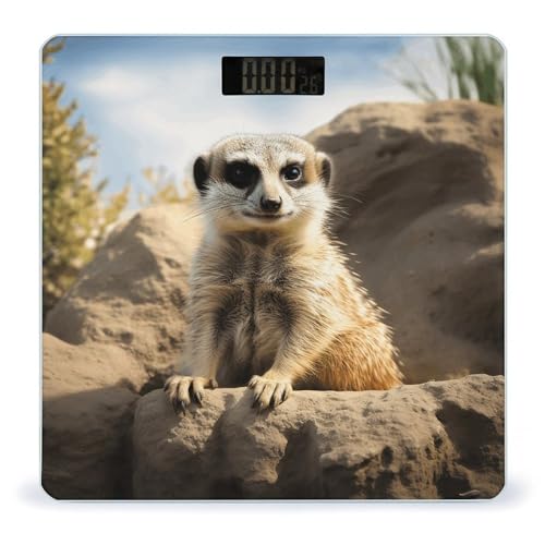 Báscula Digital Corporal Meerkat Animal Alta Precisión miniatura 1