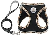 Hipubby XXS Dog Harness and Leash Set - No-Pull Mesh Vest for Small Dogs & Cats